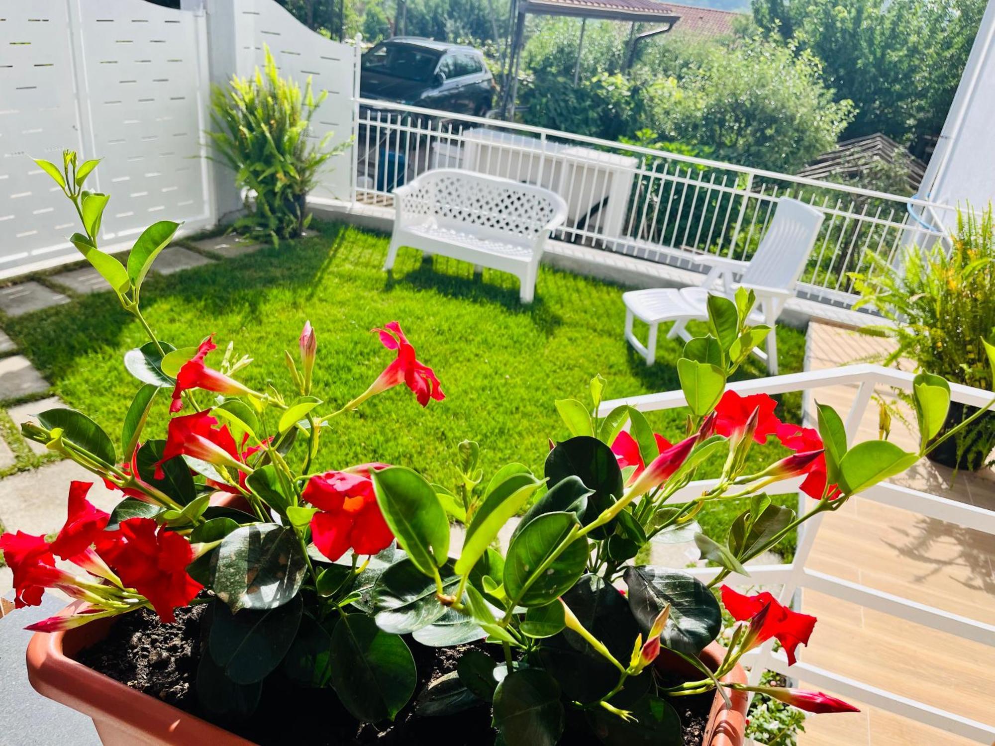 Apartament Agerola Dreams Zewnętrze zdjęcie